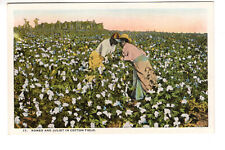 Postcard:  Afro-Americans picking cotton: Romeo and Juliet in the cotton field picture