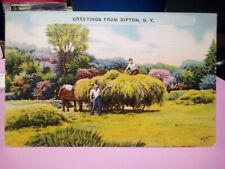 Rifton NY Ulster County greetings from Hay Wagon horses picture