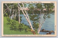 Greetings from Bay View Michigan Linen Postcard No 4061 picture