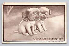 c1910 DB Postcard SJ+BF Puppy Dogs You've Got Me Going Kid picture