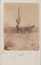Tucson, AZ? RPPC 1911 Cactus Woman Horse Wagon, vtg Arizona Real Photo Postcard picture