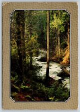 Postcard Oregon Rustic Creek c1978 9P picture