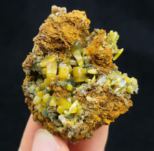 40mm Yellow Wulfenite & botryoidal Green Mimetite from Mexico CMM2311163 picture