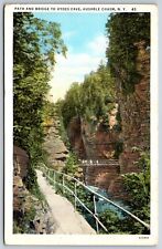 Postcard Path & Bridge To Hydes Cave, Ausable Chasm New York Posted 1940 picture
