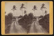 Photo:Colon (Aspinwall.) Road along the beach. 1 picture
