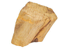 One Assorted Palo Santo Log Piece From Peru: Extra Large (1380-15XL-AS) 8UK24 picture