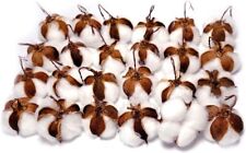 Real Cotton Balls Decor - 24 Pieces for Wreath 24 Pieces, Brown, White  picture