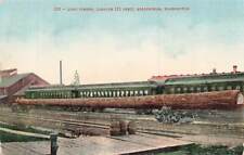Long Timber 125 Ft Train Bellingham WA c1910 P164 picture
