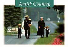 Postcard Pennsylvania Greetings From The Amish Country Family  picture