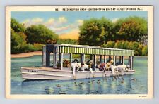 Silver Springs FL-Florida, Feeding Fish from Glass Bottom Boat, Vintage Postcard picture