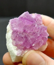 Pink Octahedral Fluorite Crystals on Matrix - Navidad Mine, Durango, Mexico picture