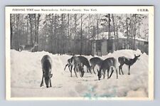 Narrowsburg NY-New York, Deer Feeding, Sullivan Co, Antique Vintage Postcard picture