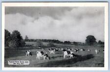 1960's MT MOUNT AIRY MARYLAND MD TYPICAL FARM SCENE COWS VINTAGE POSTCARD picture