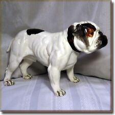SPECTACULAR Royal Doulton Large Size RARE Colorway Standing Bulldog X1176  HTF picture