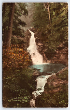 Original Old Vintage Antique Postcard Upper And Lower Falls Buck Hill Falls, PA picture