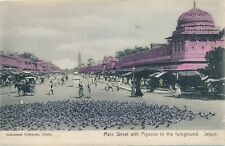 JAIPUR - Main Street with Pigeons in The Foreground - India picture
