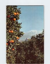 Postcard Mt. Baldy California USA picture