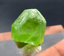 18 Gram Natural Peridot Crystal from Pakistan, Good Terminated Rough Specimen picture