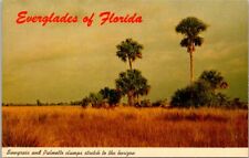 Everglades Florida 1964 State Series Sawgrass Palmetto Teich Chrome Postcard FL picture