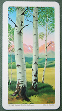 TREMBLING ASPEN TREE  Detail Features  Vintage 1968 Illustrated Flora Card  DD11 picture