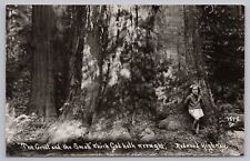 RPPC Redwood Highway California Tree and Young Girl Bible c1950 Photo Postcard picture