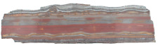 Polished Western Australian Banded Iron Jasper Slice Stone Slab Pilbara B04053 picture