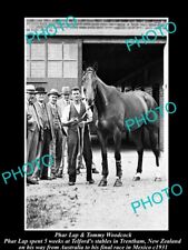 OLD 8x6 HISTORIC PHOTO OF FAMOUS AUSTRALIAN RACE HORSE PHAR LAP IN NZ c1931 2 picture