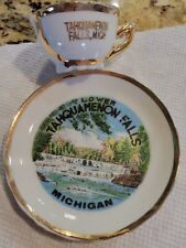 Vintage Souvenir Gold Tahquamenon Falls Michigan Tea Cup & Saucer Miniature  picture