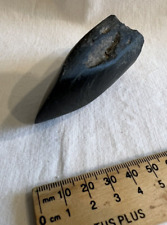 Native American Artifacts Stone Axe Head picture