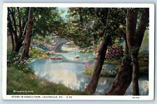 c1920's Scene In Seneca Park River Bridge Louisville Kentucky Vintage Postcard picture