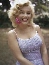 MARILYN MONROE - WITH FLOWER IN MOUTH  picture