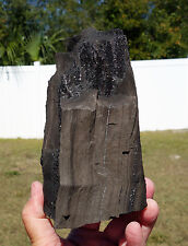 Petrified Wood with Sparkling Crystals of Smoky QUARTZ from Henry Mountains UTAH picture