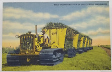 Florida Everglades Field Transportation Tractor Florida Vintage Postcard picture