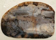 WRG- Montana Agate Slab 99 grams  Lapidary Old Stock picture
