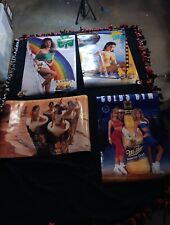 Lot Of 4 Vintage Miller Genuine Draft Girl Posters picture