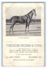 1911 Theodore Kromm & Sons Baltimore MD Embossed Advertising Postcard picture