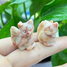 2pc Natural Network stone mini angel cat Carved quartz crystal animal skull gift picture