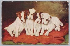 Artist Lilian Cheviot~Adorable White Jack Russell Pups~Brown Ears/Spots~1910 PC picture