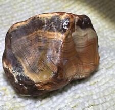 .54 Oz Lake Superior Agate Suuper Tight Bands Beautiful Piece picture