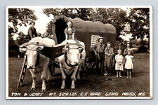 RPPC Tom & Jerry Oxen Conestoga Wagon Produce Vendor Grand Marsh WI Postcard picture