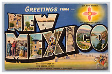 Large Letter Greetings From New Mexico NM Postcard A4700 picture