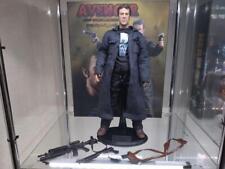 Art Figures 1/6 Figure Punisher Hot Toys Series picture