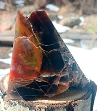 Petrified Wood Volcanic Pyramid Polished On All Sides Limb Cast Yellow Cat Utah picture