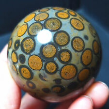 TOP 169G Natural Polished Leopard Print Agate Crystal Sphere Ball Healing BA2614 picture