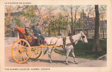 Postcard The Quebec Caleche, Quebec, Canada unposted VTG VPC02. picture