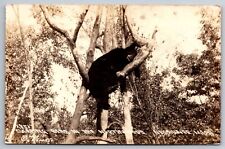 RPPC Sleeping Black Bear In The North Woods Negaunee MI C1947 Postcard P4 picture