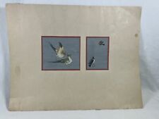 Rare Old Indian School Bird Small Multi Colour Paper Paintings Early 19c picture