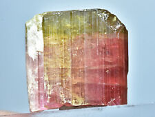Beautiful Bi Color Tourmaline Crystal 23.60 Carat picture
