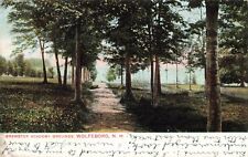 Brewster Academy Grounds, Wolfeboro, New Hampshire NH - 1906 Vintage Postcard picture