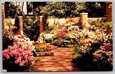 Spring Floral Display Missouri Botanical Garden Saint Louis Flowers VNG Postcard picture